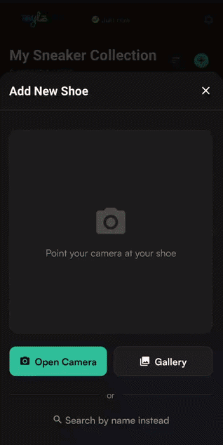 The app recognizing the shoe and adding it to your rotation